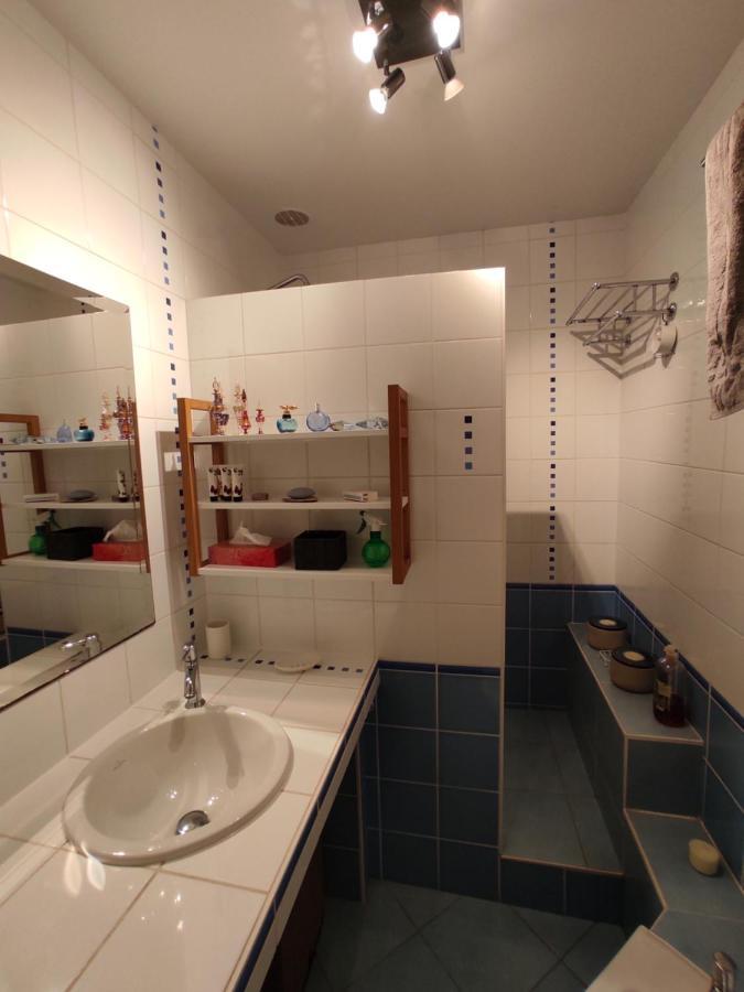 Appartement Calme Proche Toulouse Saint-Jean  Екстериор снимка